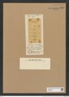 Chaetoceros convolutus Castr. (de-Toni-Nr.: Genus 149, Species 4142) Zeichnungen Sammlung Grunow Nr. 7699 (NHMW-BOT-W0376901)
